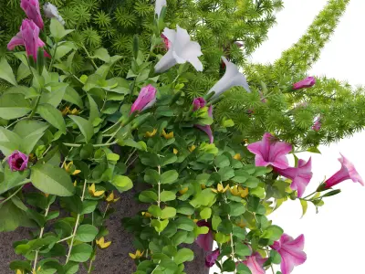 Pot plant 01 3D model