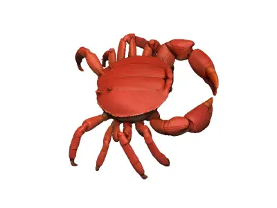 Crab - Crab Low-poly 3D model