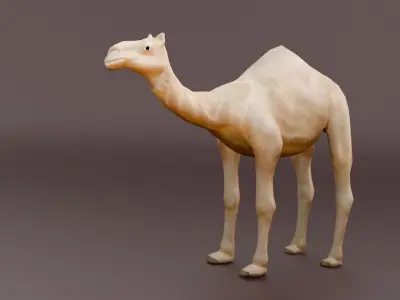 Game Ready Low Poly Camel 3D Model Low-poly 3D model