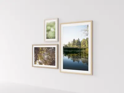 Picture Frames Nature I 3D model