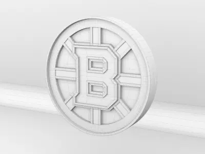 NHL Boston Bruins Team Logo 3D model