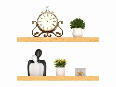 Floating Wooden Shelves with Decorations and Plants 3D model