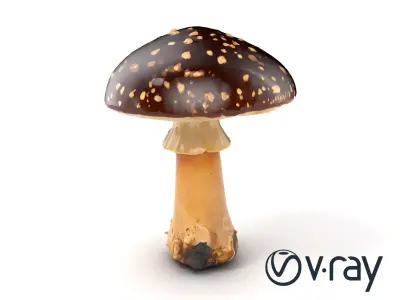 Realistic Forest Mushroom Model Pack with Textured Details Low-poly 3D model