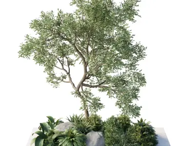 Plants Garden Outdoor plant Collection 140 Low-poly 3D model