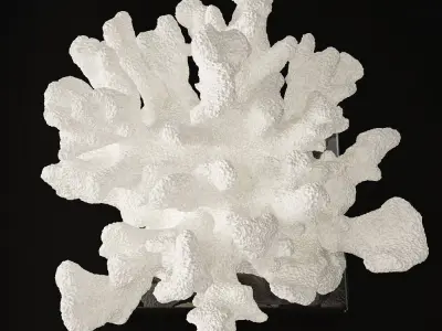 Decoration set by Kelly Hoppen 2 3D model