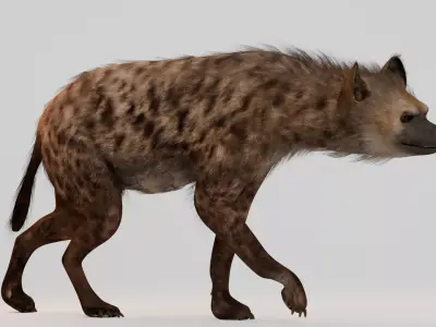 Realistic Animals Savannah - Hyena  Low-poly 3D model
