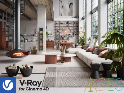 Boho Design Interior Scene for Cinema 4D and Vray 6 ACES 3D model