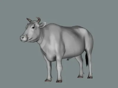 Bull  3d Model 3D model