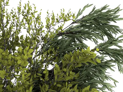 Bouquet Of Branches With Green Leaves In A Vase 441 3D model