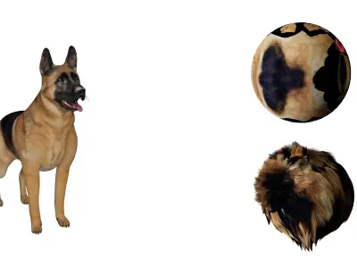 King Shepherd Dog Low-poly 3D model