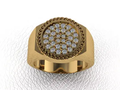 Chain ring 3D print model