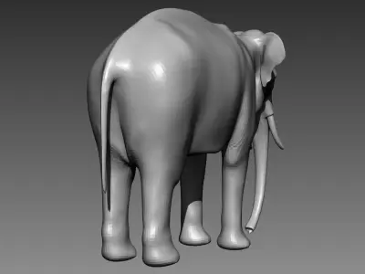 Elephant base mesh for Zbrush 3D model