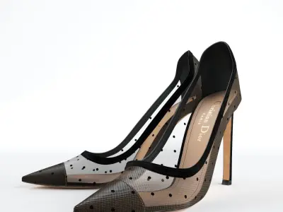Dior D-Moi Tulle 105mm Pumps 3D model
