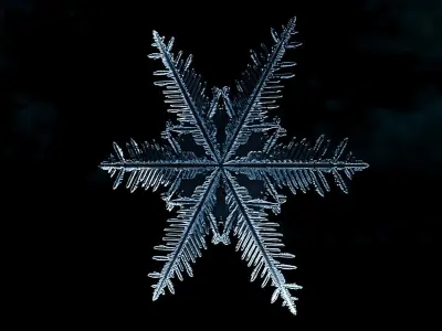 Snowflake 02 growing animation with blender file 3D model