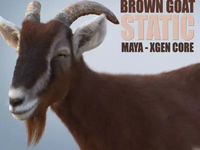 Brown Goat static Xgen Core 3D model