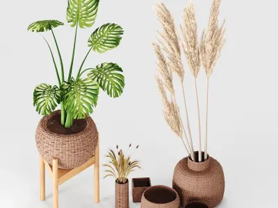 set vases-No3- wicker Vase 3D model