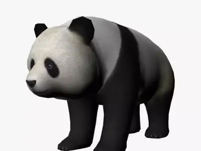Panda bear Low-poly 3D model shop