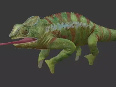 Chameleon Low-poly 3D model