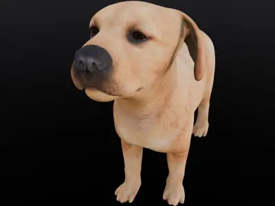 Puppy Animated Rigged  Low-poly 3D model