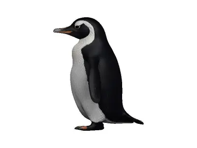 Penguin Low-poly 3D model 4