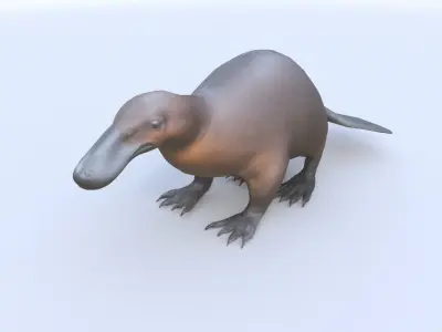 Platypus 3D model