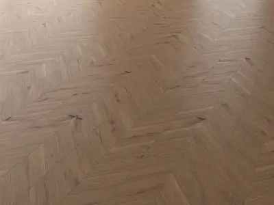 Parquet Oak Vergne Wild Wood set 1 3D model