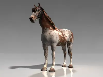 Pinto Horse Low-poly 3D model
