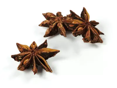 POLYPASTA - Star anice 01 3D model