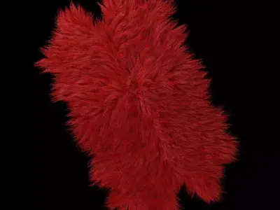 Skin longhair 3D model