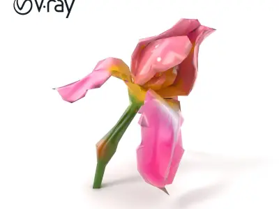 Pink Iris Flower Sculpture model pack Low-poly 3D model