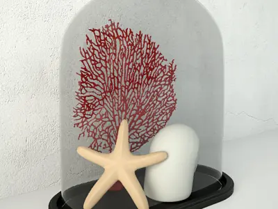 Oval Sea Life Glass Dome 3D model