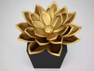 lotus flower Free 3D model