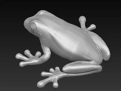 Frog Decorative Printable 3D print model