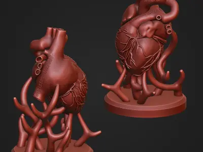 Human Heart Anatomy Sculpture Statue Art 3D print model