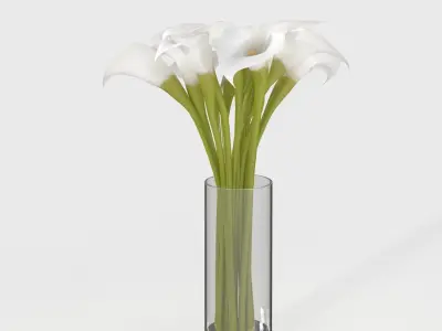 Cala Lily In Vase PBR 3D model