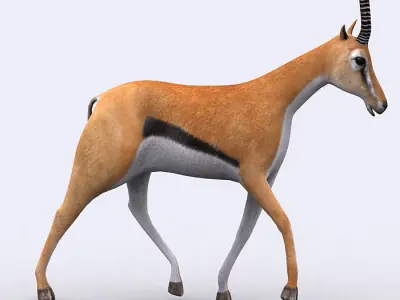 3DRT - Gazelle Low-poly 3D model