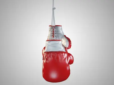 Boxing gloves 3D model