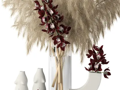 Pampas grass and Cymbidium 3D model