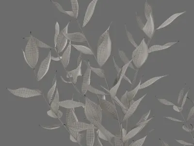 Decor branch Ruscus in a vase Set 61 3D model