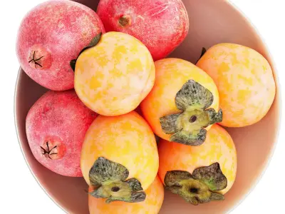 bowl of pomegranate and persimmon fruit 3D model