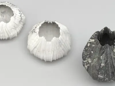 Vases 04 3D model