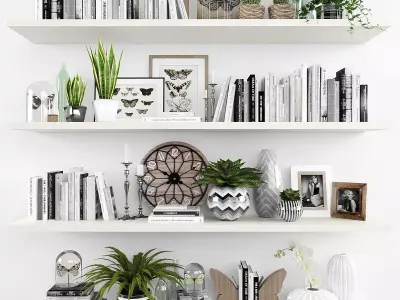 Decorative set-7 shelves with plants and books Low-poly 3D model