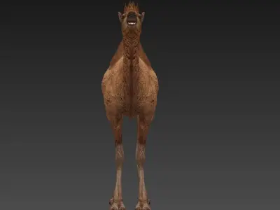 camel Low-poly 3D model