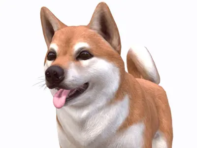 Dog - Akita Inu Low-poly 3D model