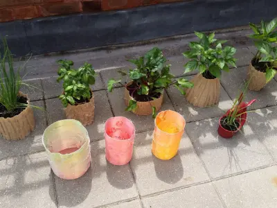 Birch Tree 3D Scan Applied to Functional and Decorative Items Free 3D print model