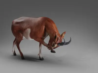 Goat 04 Rigged in Blender  Low-poly 3D model