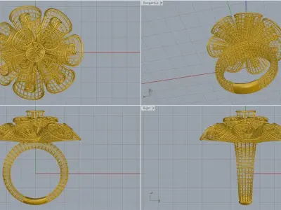 women ring 3D print model order