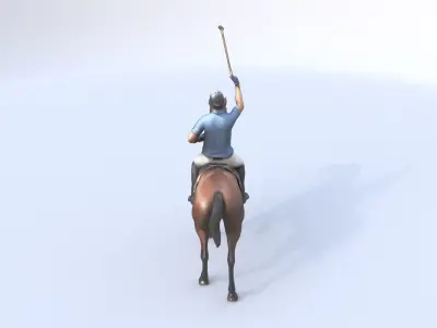 Polo 3D model
