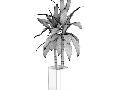 Bamboo Plant in Glass Pot 3D model
