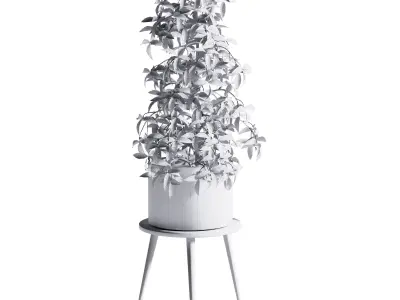 plant indoor 06 3D model